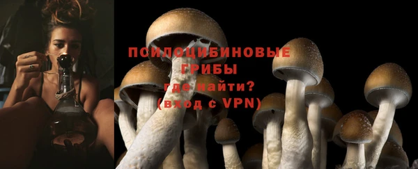 бошки Гусь-Хрустальный