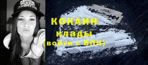 Альфа ПВП Гусев